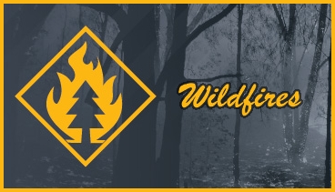 Wildfire Response